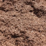 Shredded Cedar Landscape Mulch in Novi