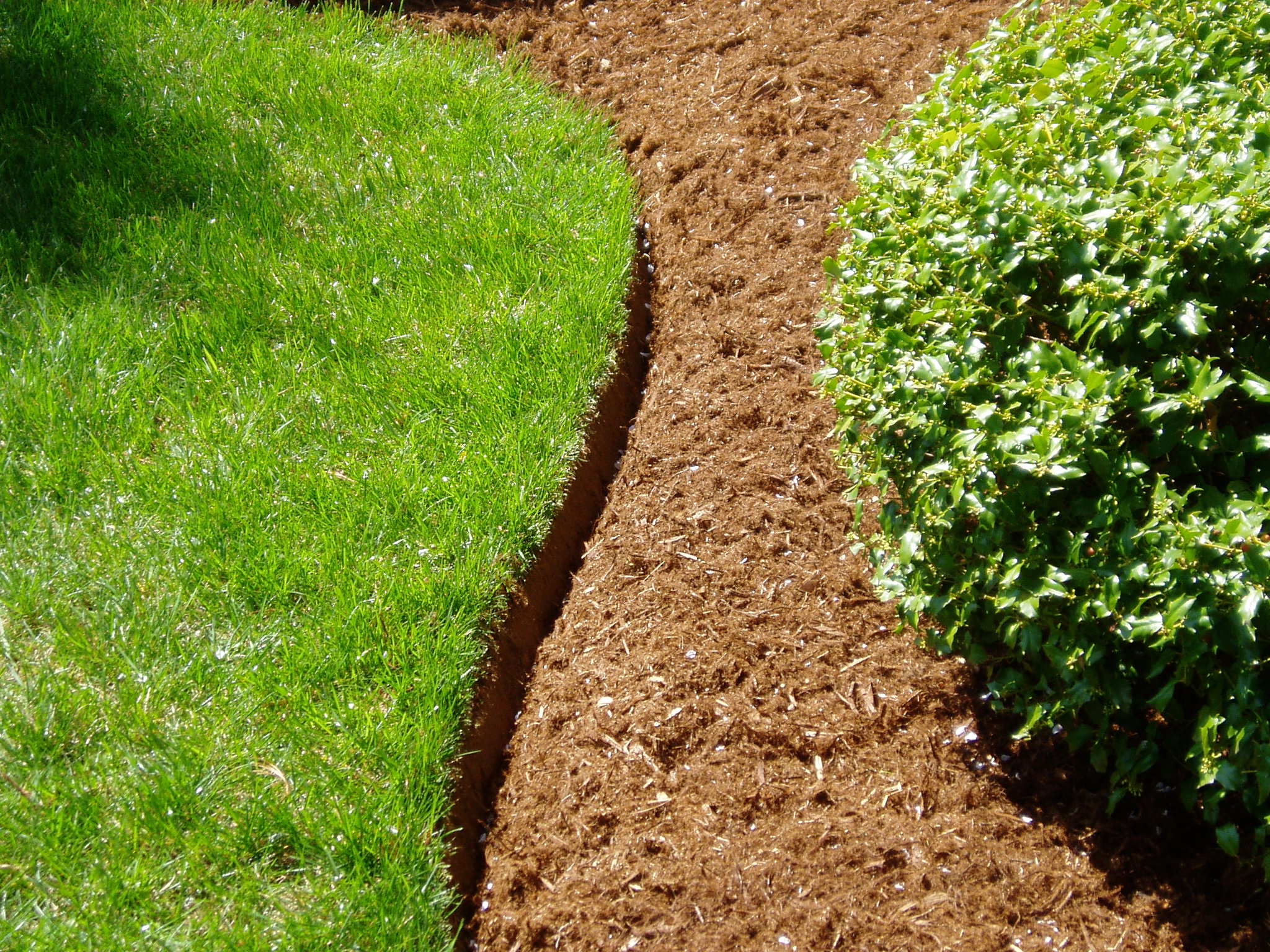 Services | Landscape Solutions