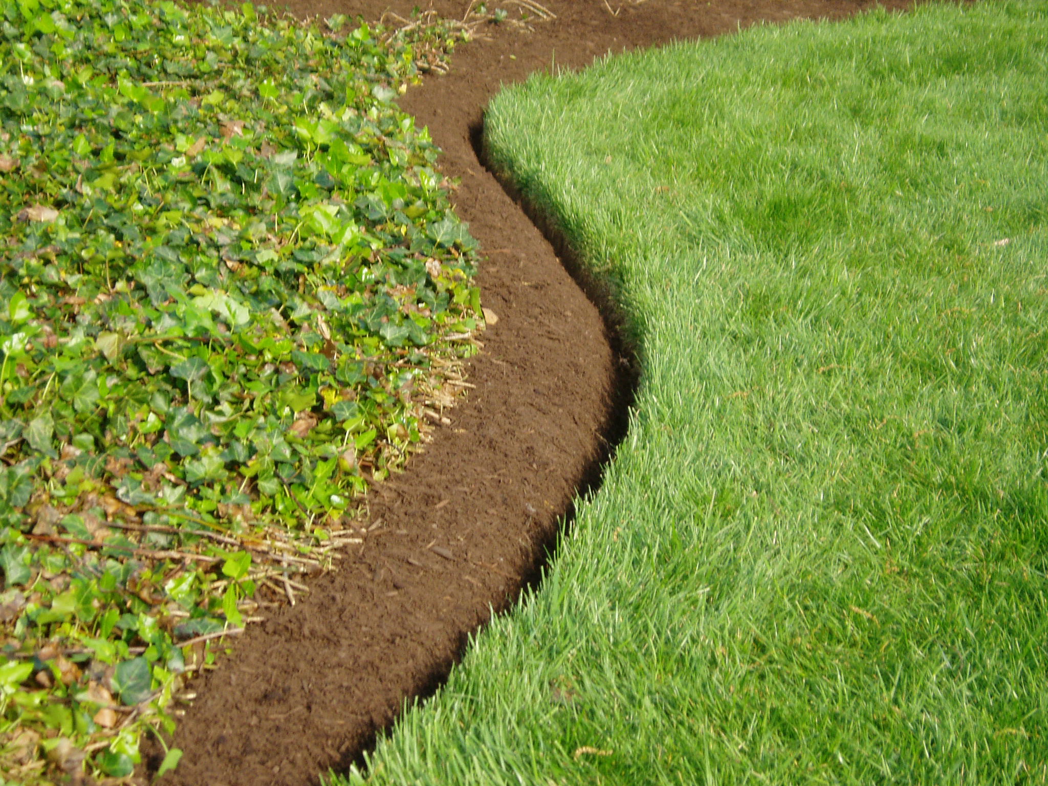 Best Landscape Edging