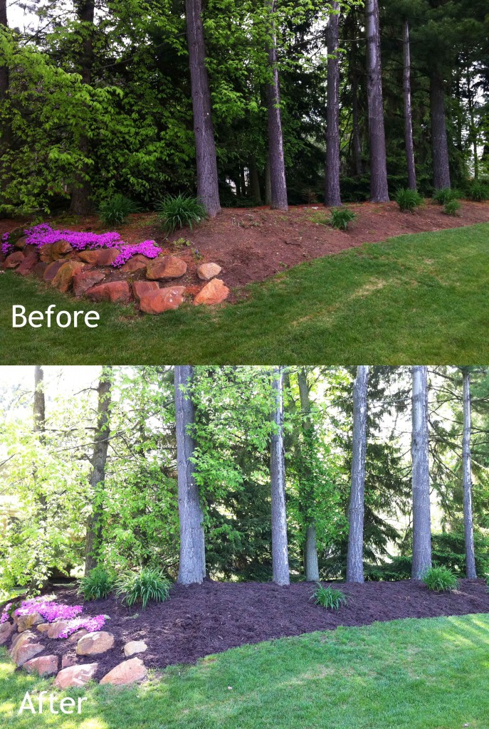 Mulch Installation Before and After